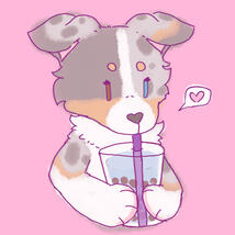 puppy ollie